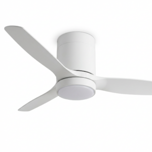 Modern ceiling fan lamp
